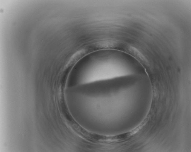 X0000073750163200608102029