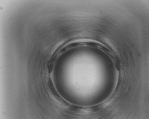 X0000073750164200608102029