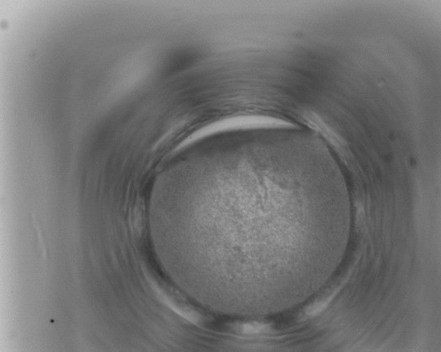 X0000073750165200608102029