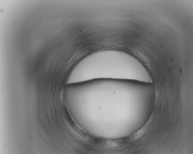 X0000073750166200608102029