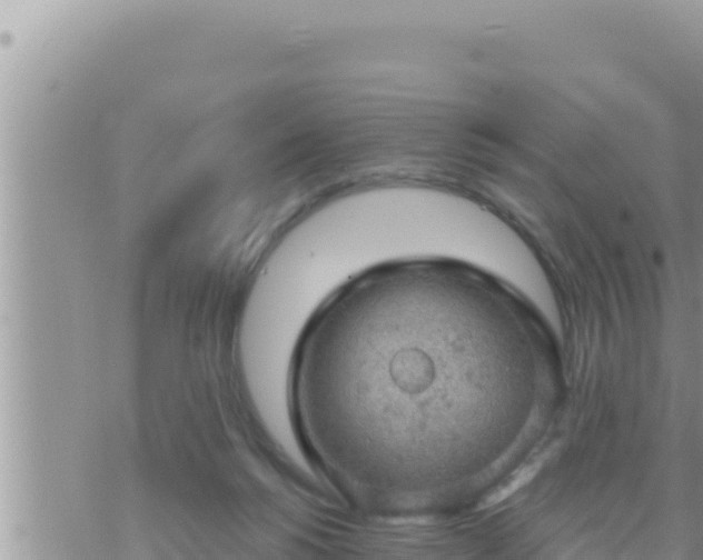 X0000073750168200608102029