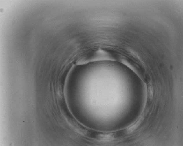 X0000073750170200608102029