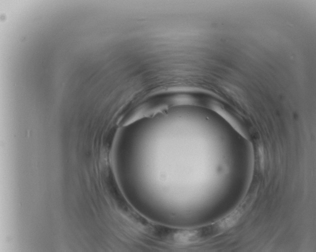 X0000073750172200608102029