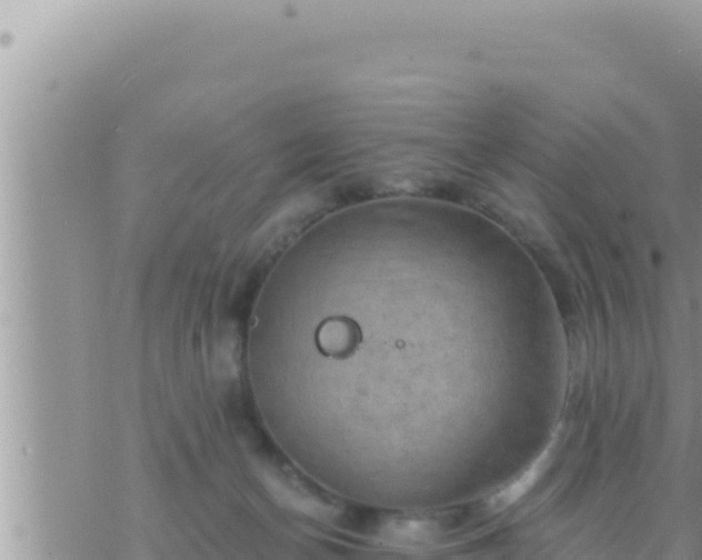 X0000073750174200608102029