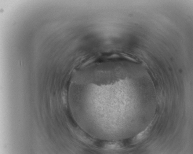 X0000073750175200608102029