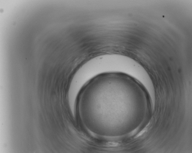 X0000073750176200608102029