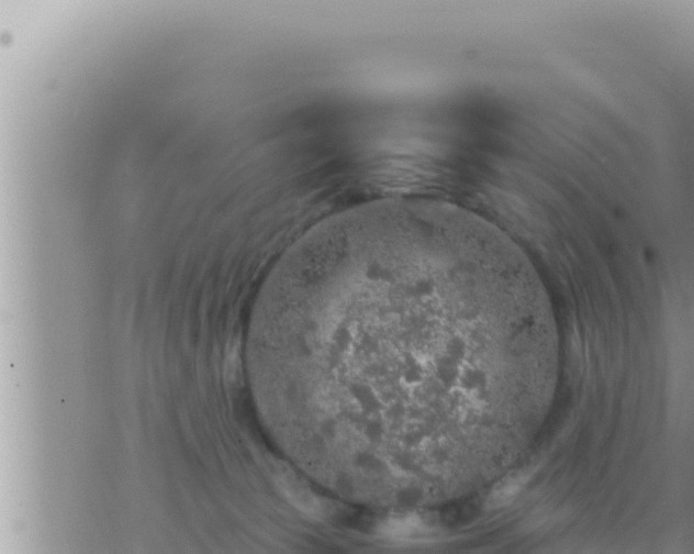 X0000073750177200608102029