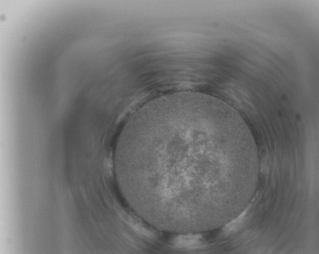 X0000073750179200608102029