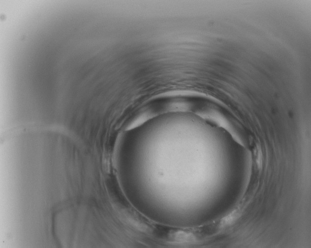 X0000073750180200608102029