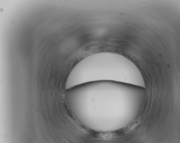 X0000073750181200608102029