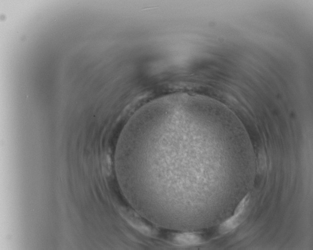 X0000073750183200608102030