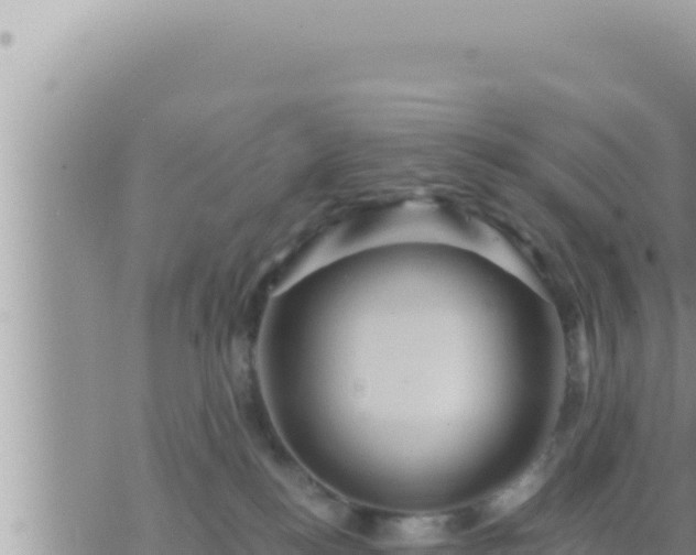 X0000073750184200608102030