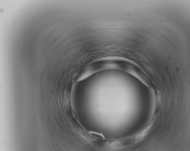 X0000073750186200608102030