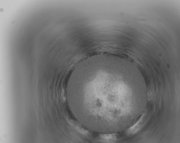 X0000073750187200608102030