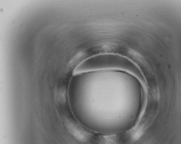 X0000073750188200608102030