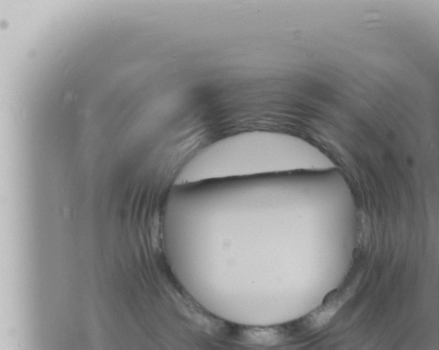 X0000073750189200608102030