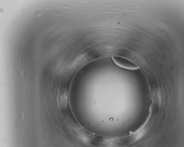 X0000073750190200608102030