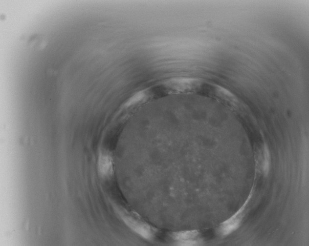 X0000073750191200608102030