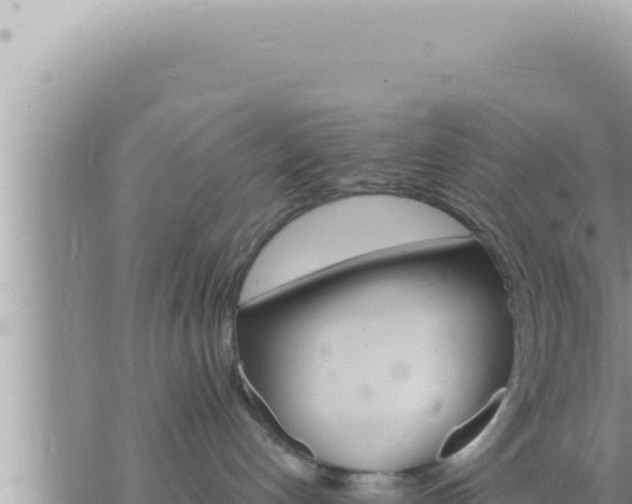 X0000073750192200608102030