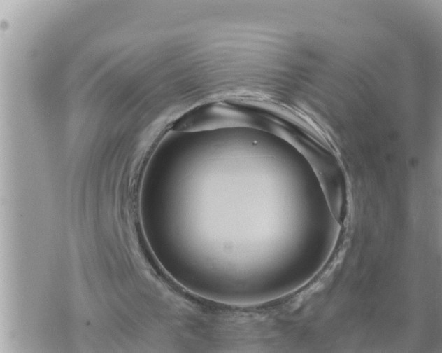 X0000073750193200608102029