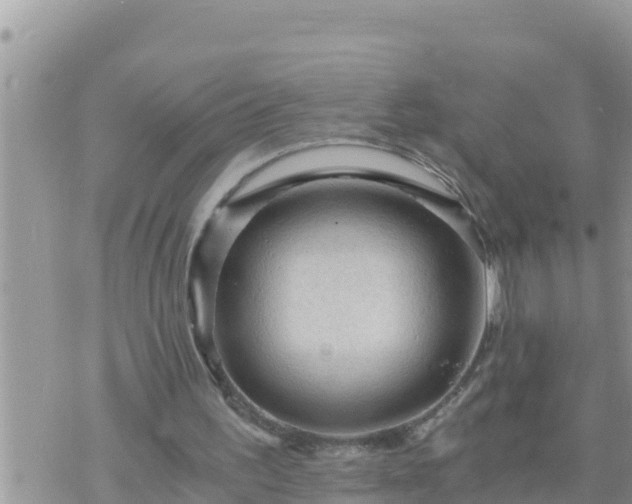 X0000073750195200608102029