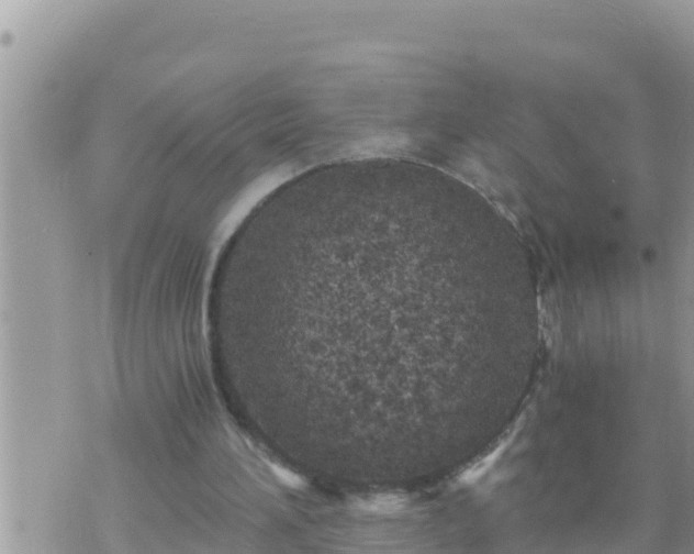 X0000073750196200608102029