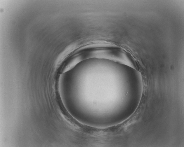 X0000073750197200608102029