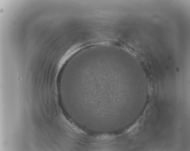 X0000073750198200608102029