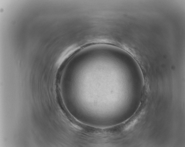 X0000073750199200608102029