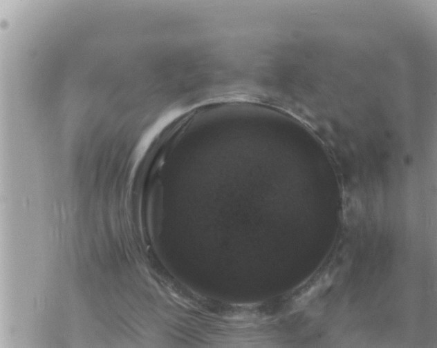 X0000073750200200608102029