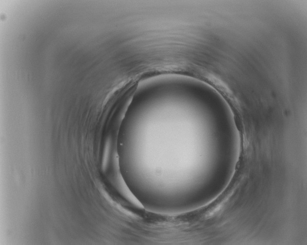 X0000073750201200608102029