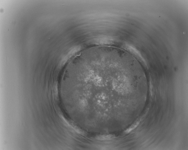 X0000073750202200608102029