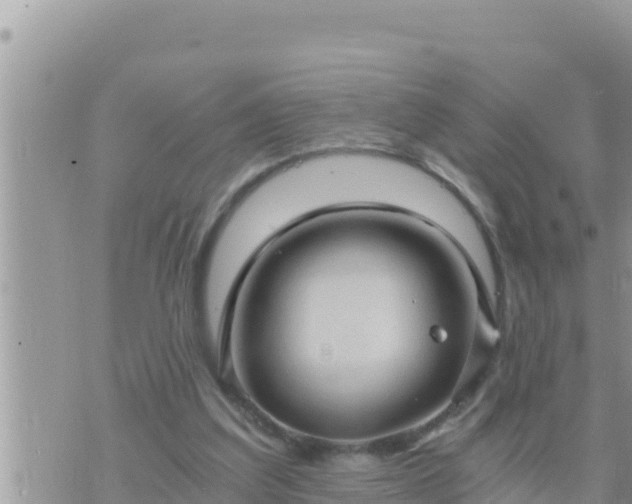 X0000073750203200608102029