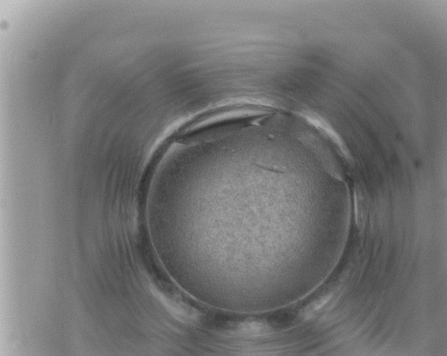 X0000073750204200608102029