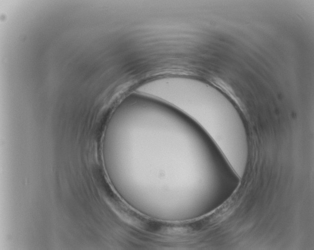 X0000073750205200608102029