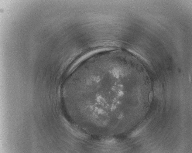 X0000073750206200608102029