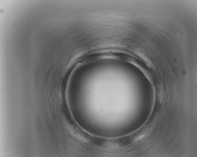 X0000073750207200608102029