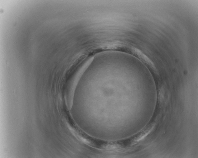 X0000073750209200608102028