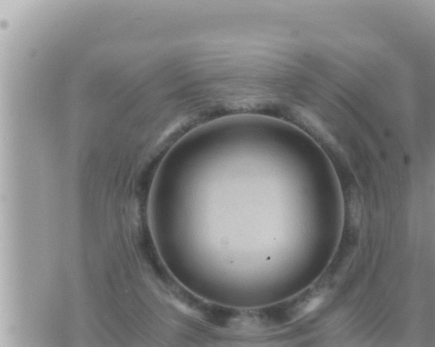 X0000073750211200608102028