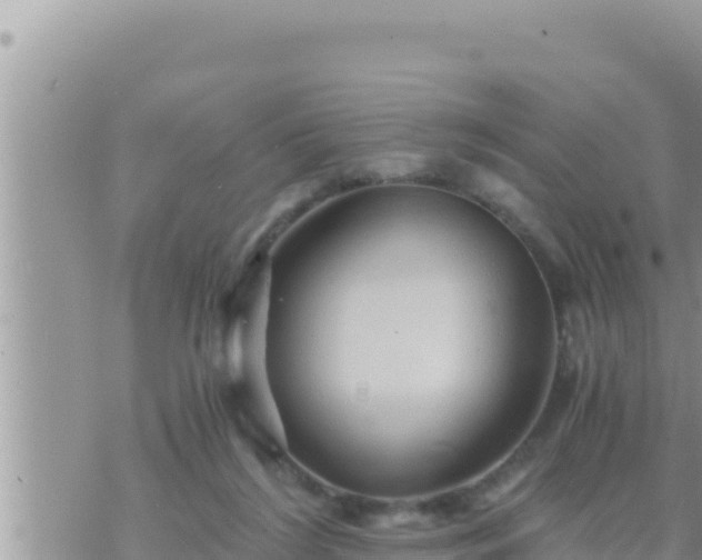 X0000073750212200608102028