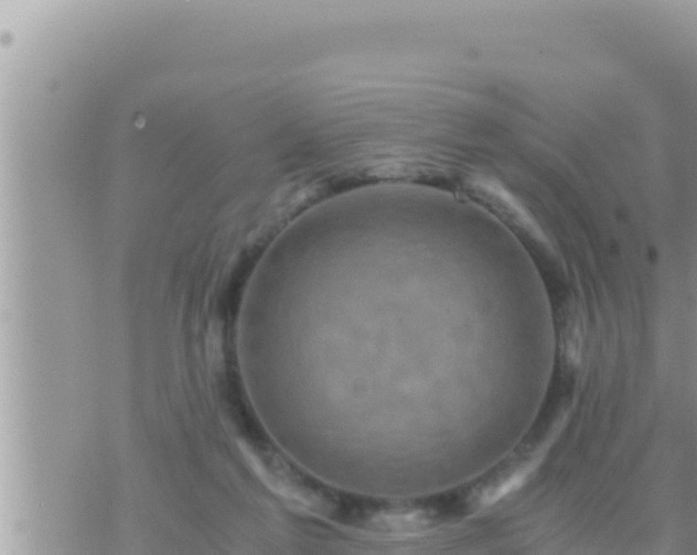 X0000073750213200608102028