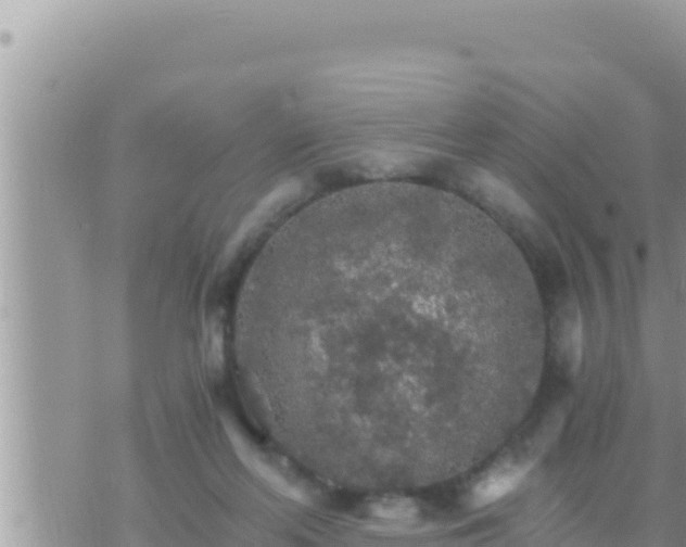 X0000073750214200608102028