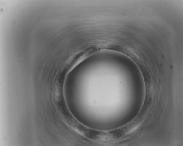 X0000073750215200608102028