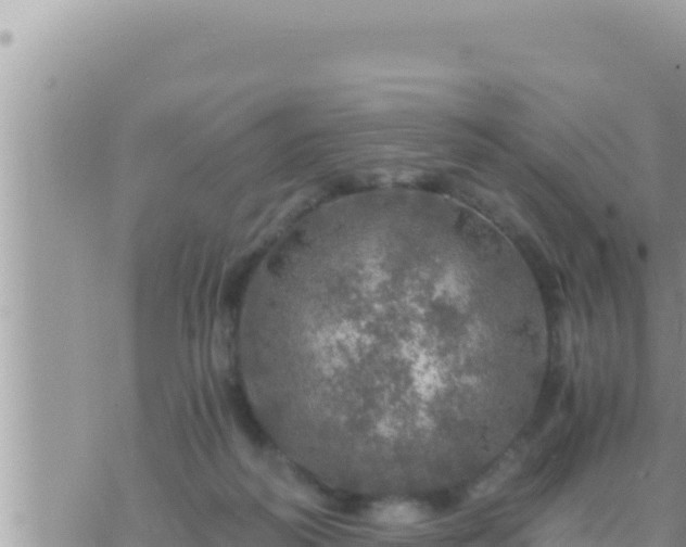 X0000073750218200608102028