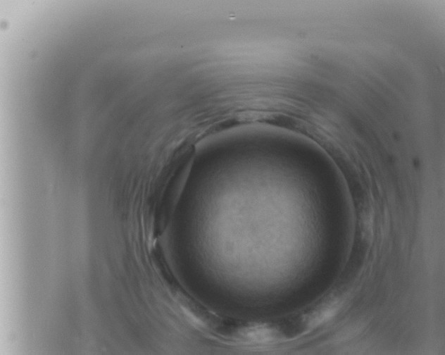 X0000073750219200608102028