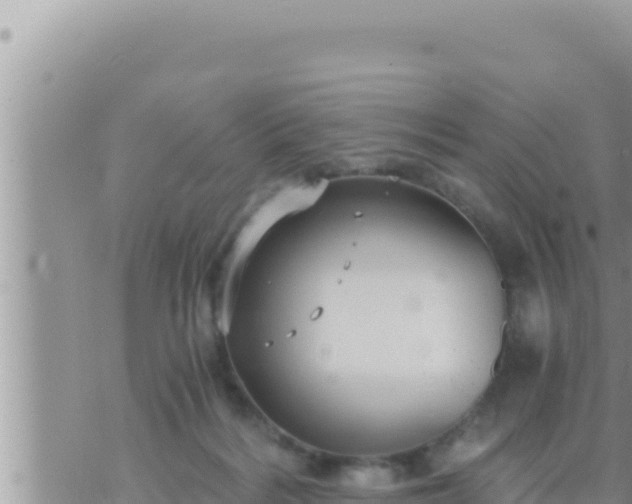 X0000073750220200608102028