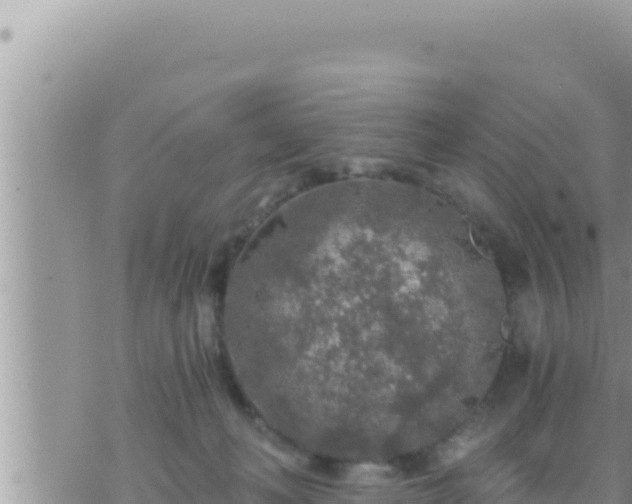 X0000073750222200608102028