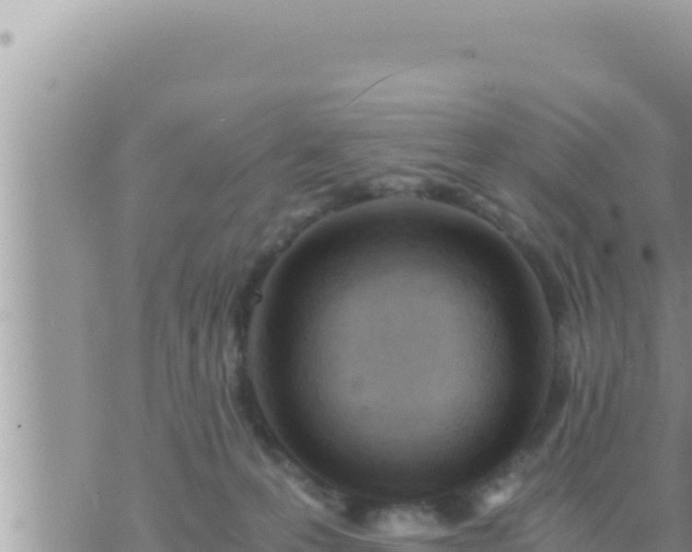 X0000073750223200608102028