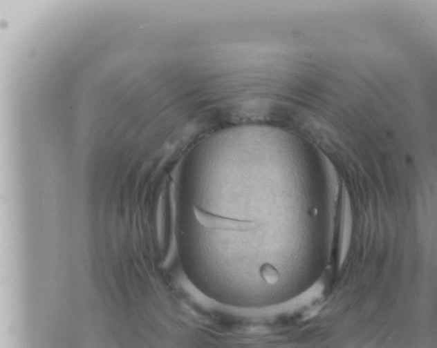 X0000073750224200608102028