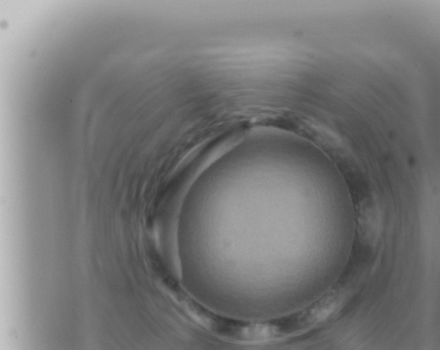 X0000073750225200608102028